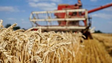 وزارة الفلاحة تراجع الإطار القانوني للاستثمار