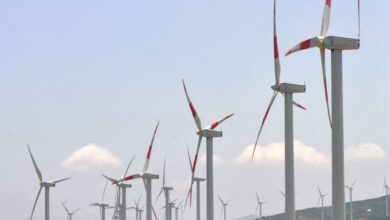 آفاق واعدة لسوق الطاقات الخضراء بالشرق الأوسط وشمال إفريقيا