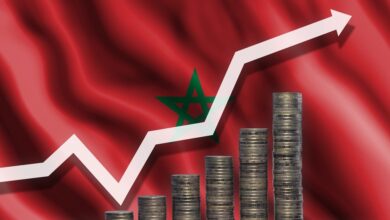 بنك المغرب يتوقع نمو الاقتصاد الوطني بـ 4,6٪ خلال 2025
