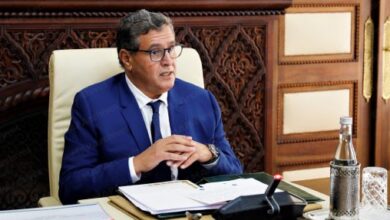 مجلس الحكومة يناقش إحداث وكالة وطنية لحماية الطفولة