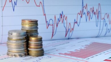 بنك المغرب: انخفاض جديد في معدلات الفائدة على سندات الخزينة