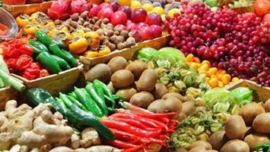ارتفاع صادرات الخضر والفواكه المغربية إلى إسبانيا مطلع 2025