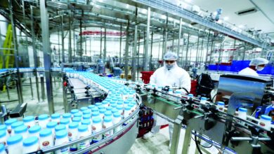 أنشطة الصناعة الكيماوية والغذائية ترفع إنتاج الصناعة التحويلية