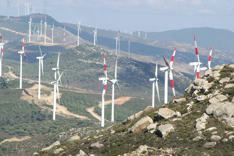 مكتب الكهرباء يسرّع وتيرة إنجاز أول محطة كهربائية افتراضية بالمغرب