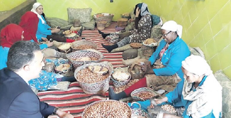 المبادرة الوطنية تدعم 94 مشروعًا تعاونيًا في وزان