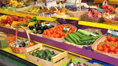 سوس ماسة في مقدمة صادرات الخضر والحمضيات بـ86%