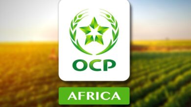 هيكلة جديدة داخل OCP Africa لتعزيز الحكامة وتوسيع التأثير