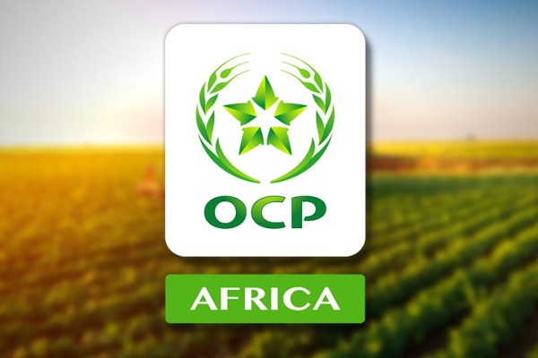 هيكلة جديدة داخل OCP Africa لتعزيز الحكامة وتوسيع التأثير