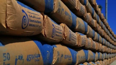 ارتفاع مبيعات الإسمنت بـ 9,8 % في النصف الأول من 2025