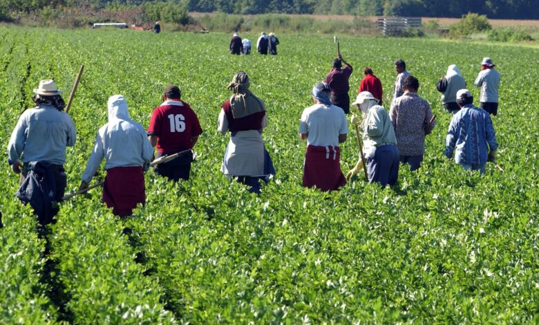 البنك الإفريقي للتنمية يدعم الفلاحة التضامنية بالمغرب للنساء والشباب