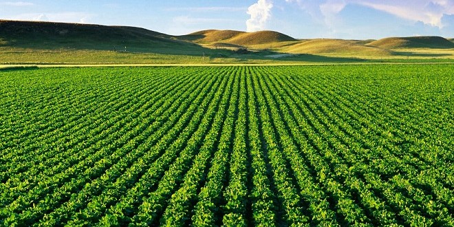 التحول الرقمي والاستشارة الميدانية دعائم النهوض بالفلاحة