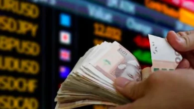 ارتفاع الأصول البنكية المغربية بنسبة 8,7% خلال 2024
