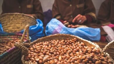 برنامج "مؤازرة" يمول 577 مشروعًا تنمويًا... و60% من المستفيدين نساء