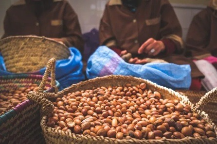 برنامج "مؤازرة" يمول 577 مشروعًا تنمويًا... و60% من المستفيدين نساء