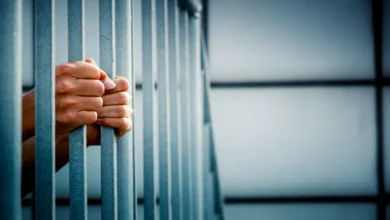 35 ألف نزيل يستفيدون من نظام العقوبات البديلة الشهر المقبل