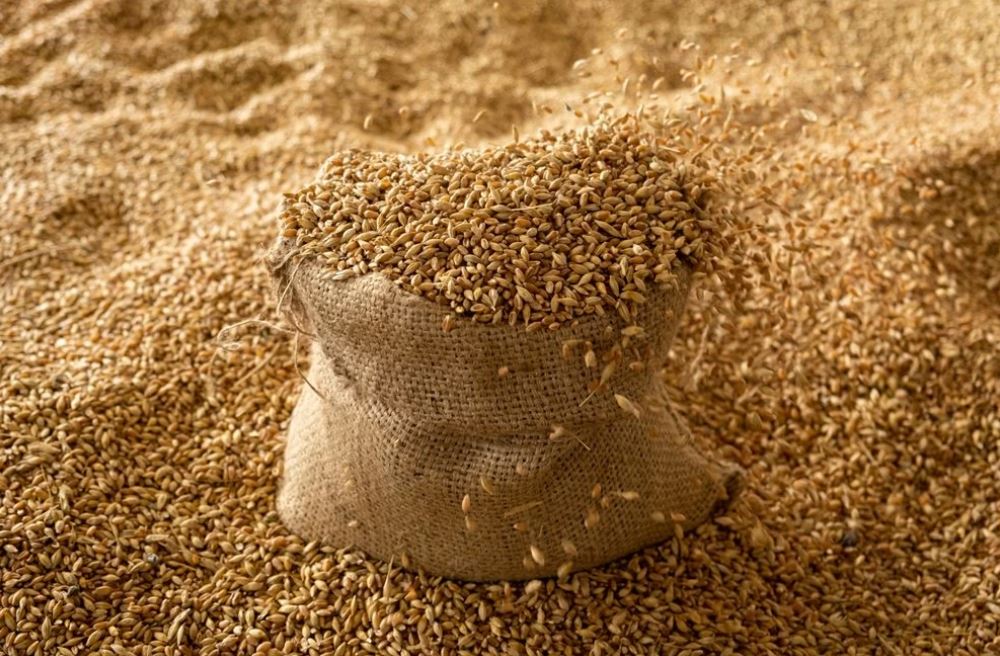 المغرب يقلص واردات الحبوب بـ 11% لغاية يوليوز 2025