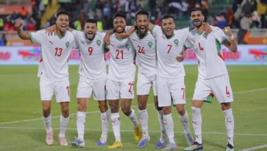 الأسود في مواجهة تنزانيا.. الموعد والقنوات الناقلة