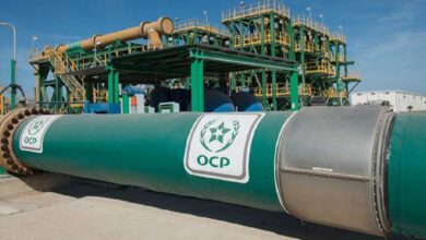 مبيعات قياسية لمجموعة "OCP" في أمريكا اللاتينية