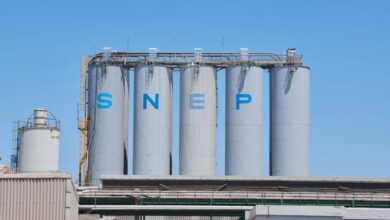 زيادة مبيعات المنتجات الفينيلية تدفع "SNEP" نحو التعافي