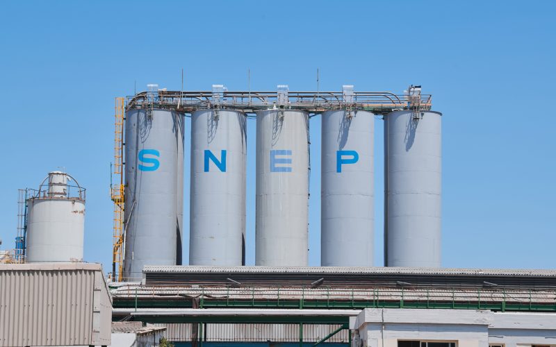 زيادة مبيعات المنتجات الفينيلية تدفع "SNEP" نحو التعافي