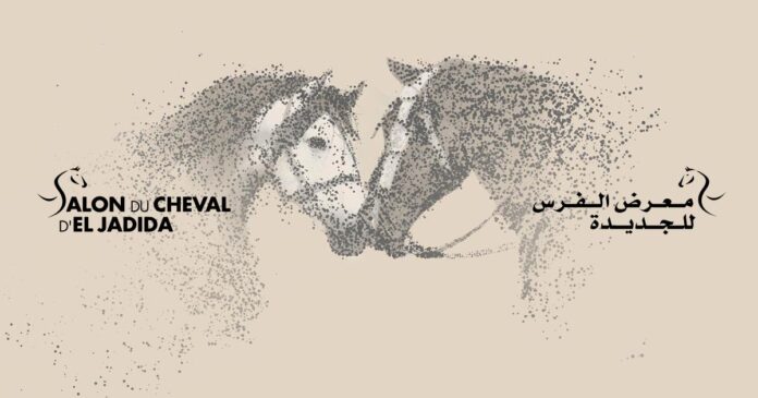 معرض الفرس بالجديدة يحتضن عرضًا لجمال الخيول العربية الاصيلة