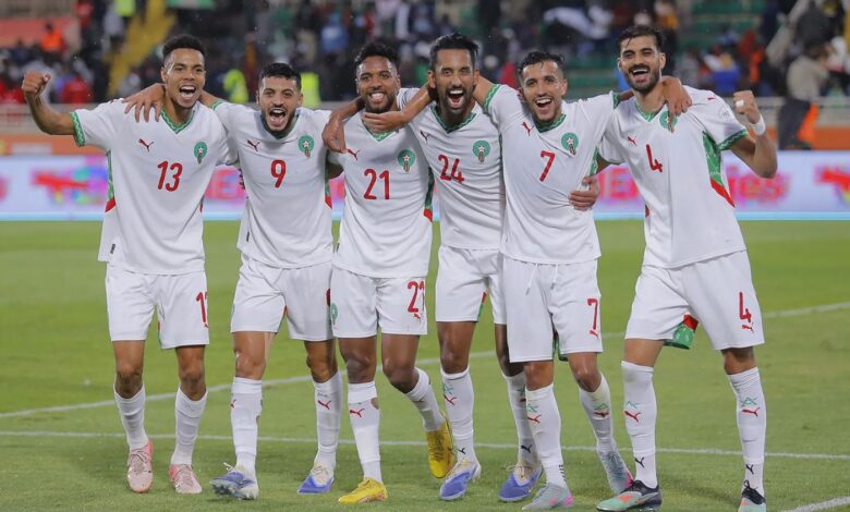 الأسود في مواجهة تنزانيا.. الموعد والقنوات الناقلة