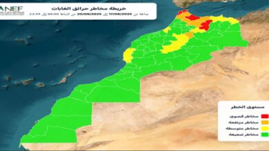 وكالة المياه والغابات تحدد المناطق الأكثر عرضة للحرائق