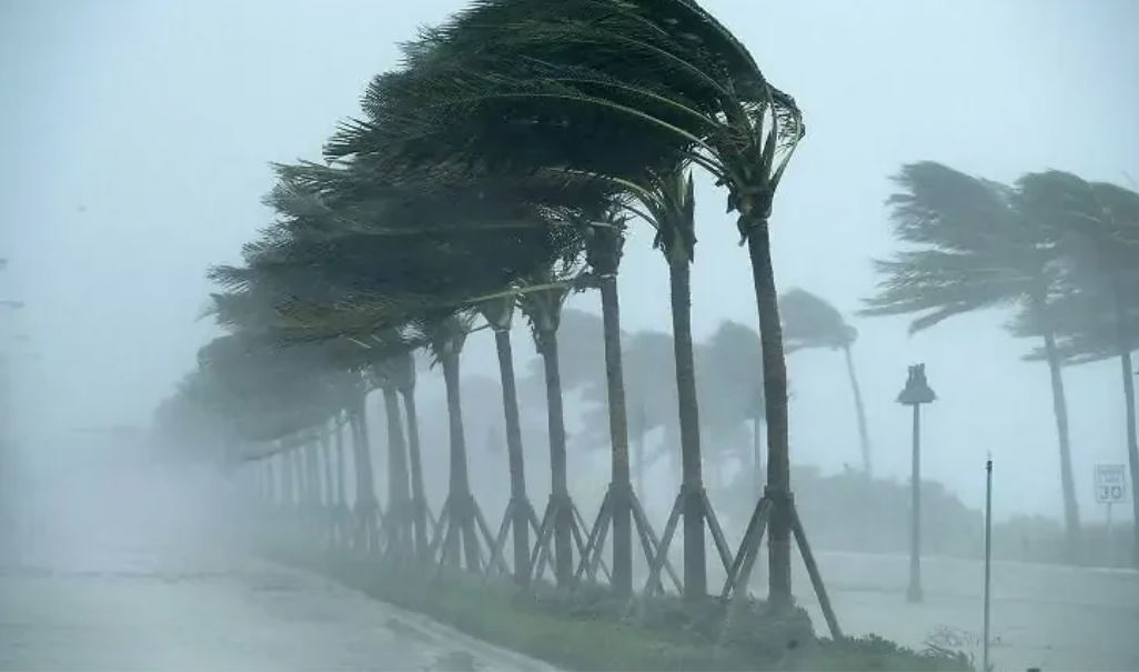 الأرصاد الجوية تحذر من زخات رعدية ورياح بعدد من مناطق الجنوب