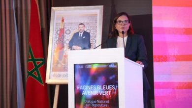 المغرب يطلق حواراً وطنياً حول تنمية وتثمين الطحالب البحرية