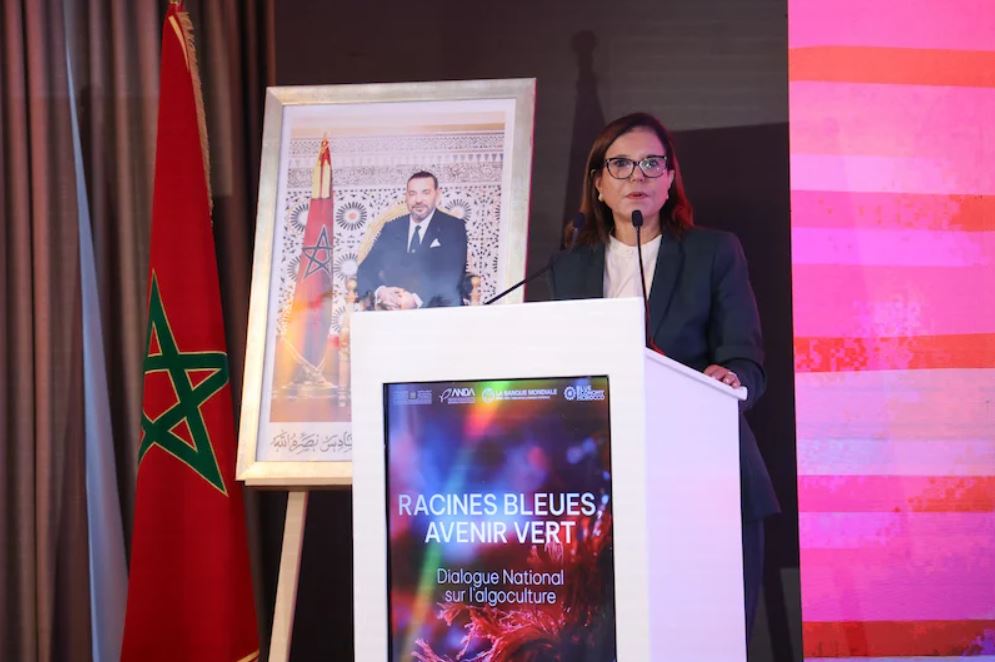 المغرب يطلق حواراً وطنياً حول تنمية وتثمين الطحالب البحرية