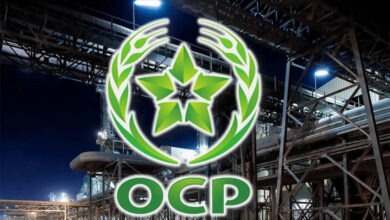 ارتفاع أرباح مجموعة OCP التشغيلية إلى 18,6 مليار درهم بهامش 36%