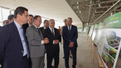 استعدادات مكثفة قبيل افتتاح أكبر تظاهرة للفروسية بإفريقيا