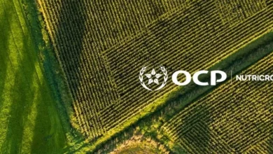 شركة "OCP Nutricrops" تنشئ ذراعا بهولندا لتجميع استثماراتها الدولية