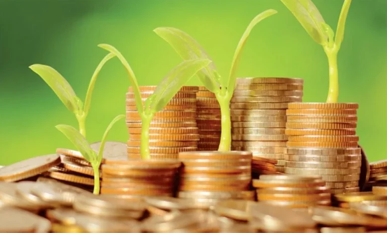 برنامج "Green Forward" يعزز منظومة دعم المقاولات الخضراء بالمغرب
