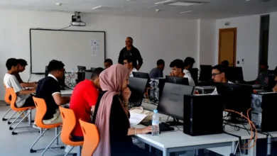 خطة شاملة لتعزيز التشغيل وتنمية الكفاءات بالمغرب