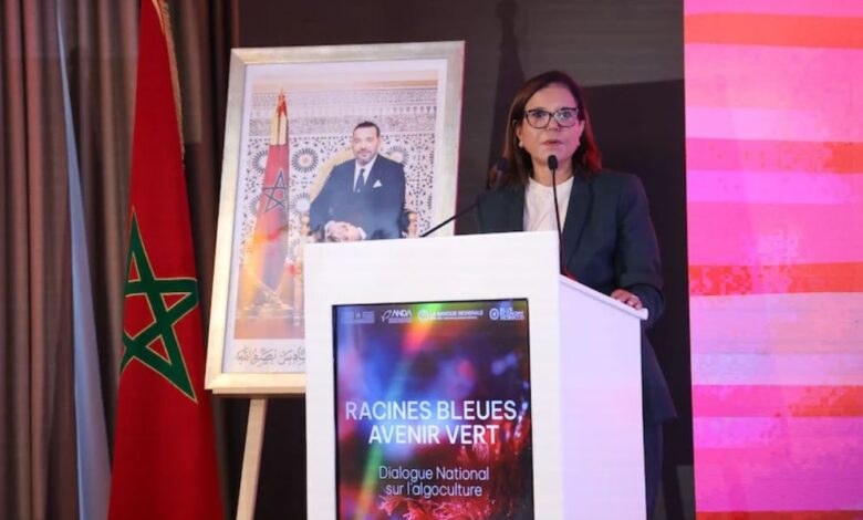 المغرب يطلق حواراً وطنياً حول تنمية وتثمين الطحالب البحرية
