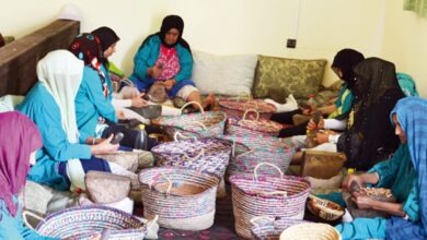 المرأة القروية تقود النمو الاجتماعي والاقتصادي عبر التعاونيات