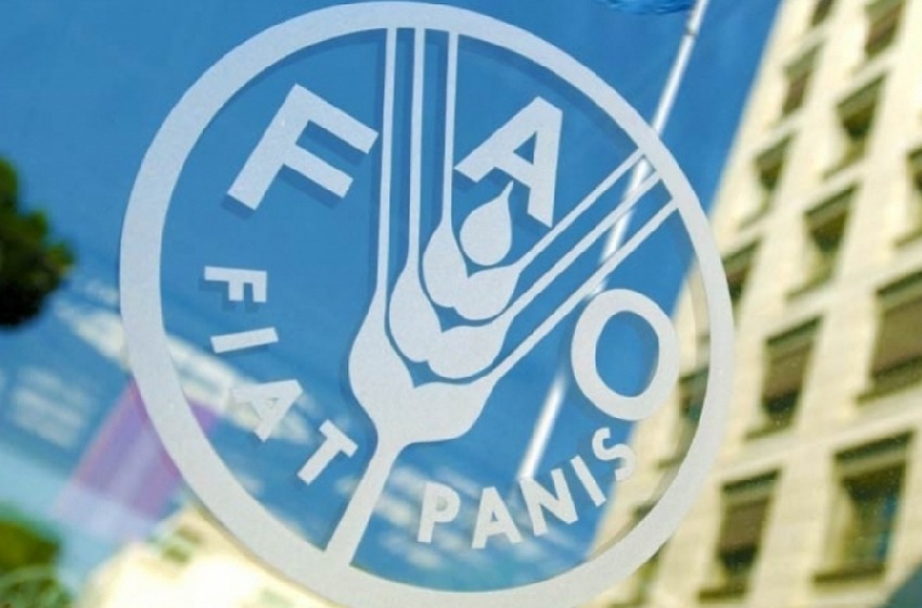 منظمة "الفاو" تعلن عن تراجع طفيف في أسعار المواد الغذائية عالميًا