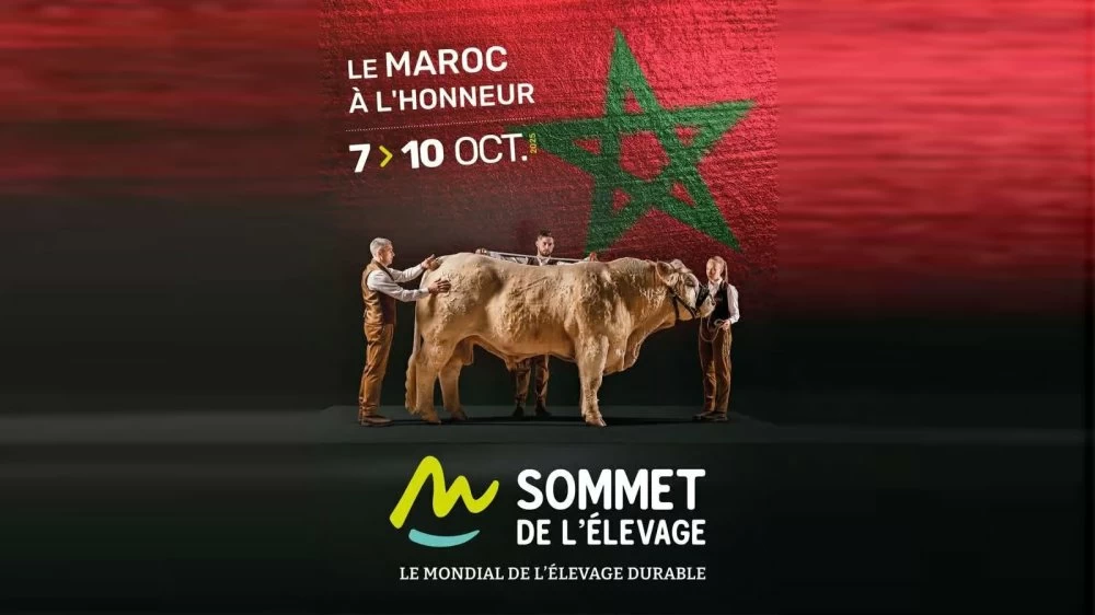 المغرب ضيف شرف في القمة الأوروبية لتربية المواشي