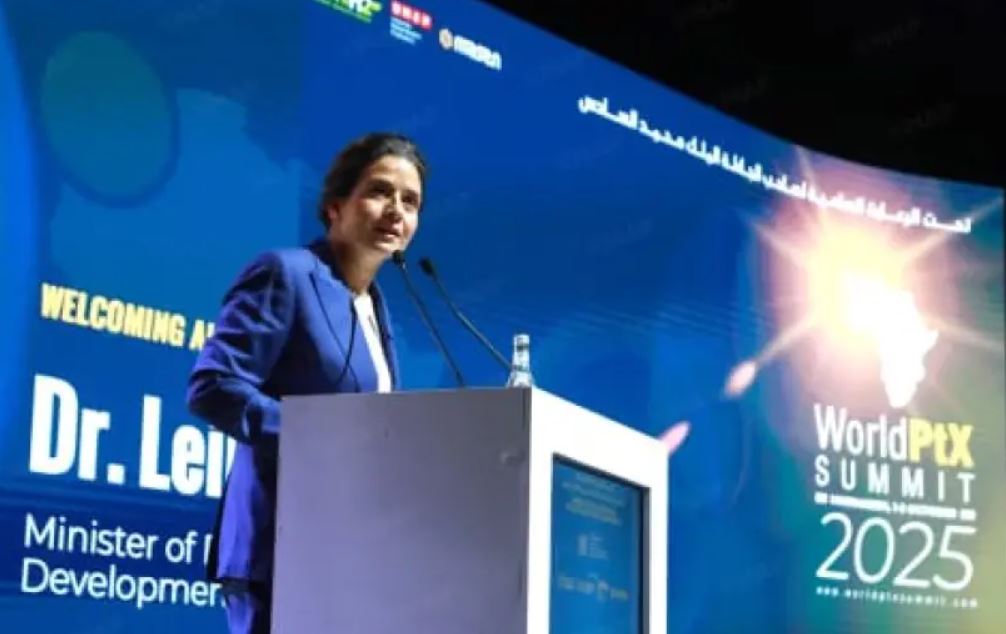 قمة مراكش: دعوات لإطار تنظيمي إفريقي مستقل للطاقات النظيفة