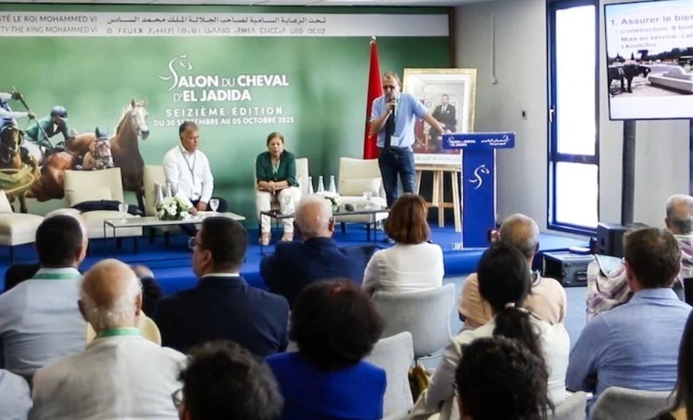 تجربة "الكوتشي" بمراكش نموذج يحتذى في العناية بالخيول