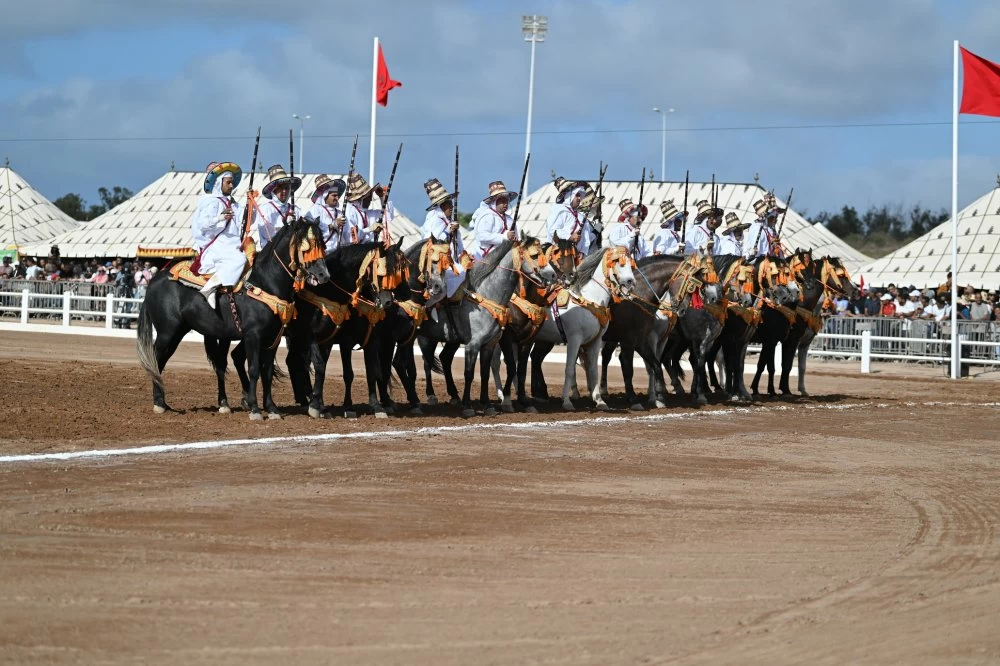 أزيد من 150 ألف زائر في النسخة الـ 16 لمعرض الفرس