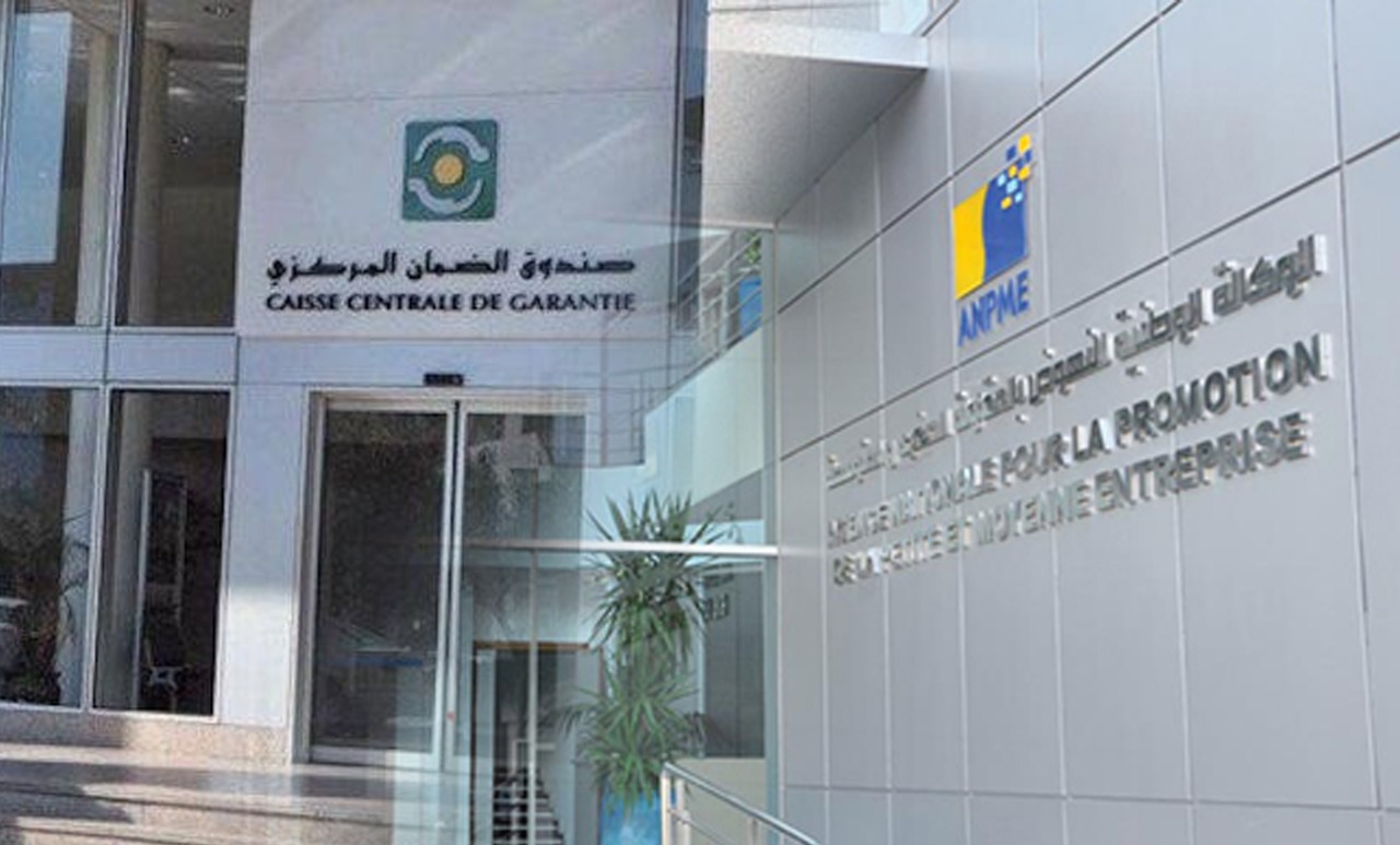 المغرب يرسخ مكانته كشريك في تنمية ريادة الأعمال الإسلامية