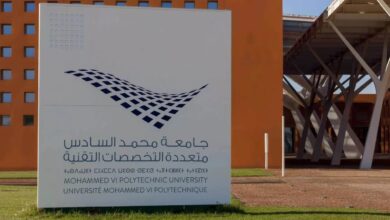 737 طفلاً يستفيدون من ورشات الذكاء الاصطناعي ضمن برنامج وطني