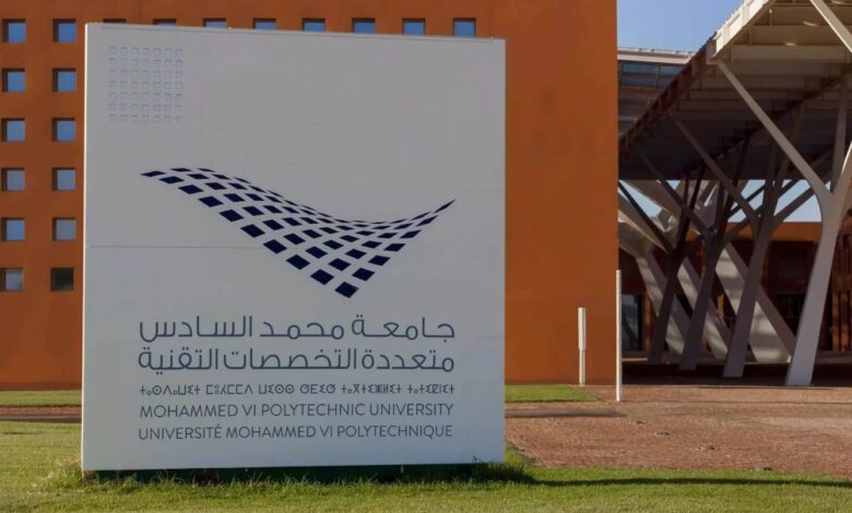 737 طفلاً يستفيدون من ورشات الذكاء الاصطناعي ضمن برنامج وطني