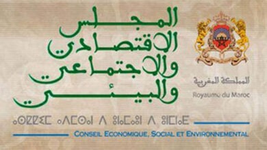 عبد القادر أعمارة يقود CESE لتعزيز الاعتراف الدولي والشراكات الإفريقية