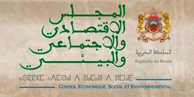 عبد القادر أعمارة يقود CESE لتعزيز الاعتراف الدولي والشراكات الإفريقية