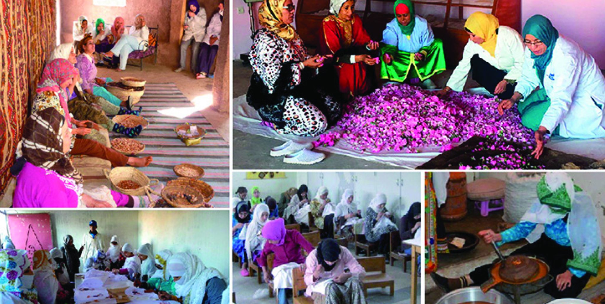 الاقتصاد الاجتماعي يدرّ 21,3 مليار درهم على الاقتصاد المغربي