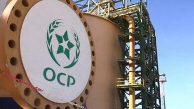 مجموعة OCP تستثمر 53 مليار درهم في خطتها للتحول الصناعي والطاقي