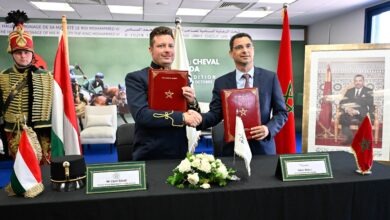 شراكة مغربية–هنغارية لحماية سلالات الخيول الأصيلة